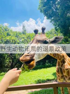 野生动物年票的退票政策