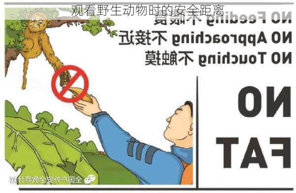 观看野生动物时的安全距离