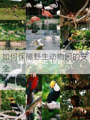 如何保障野生动物园的安全