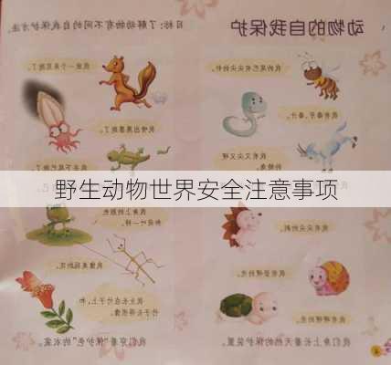 野生动物世界安全注意事项