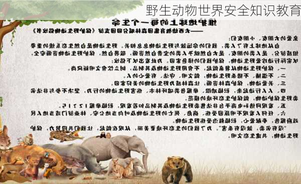 野生动物世界安全知识教育