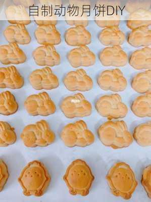 自制动物月饼DIY