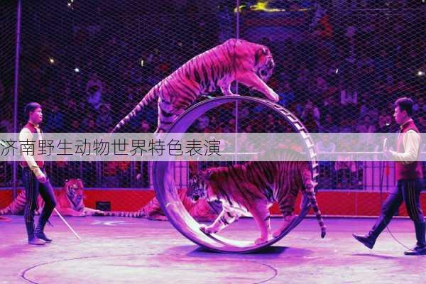 济南野生动物世界特色表演