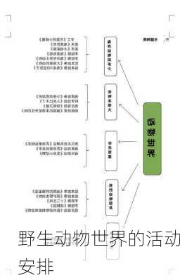 野生动物世界的活动安排