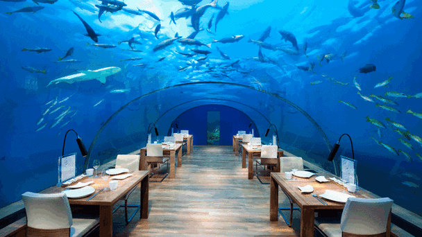 海底餐厅的建筑特点