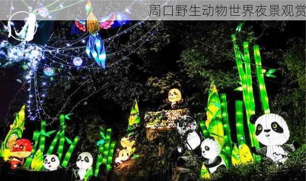 周口野生动物世界夜景观赏