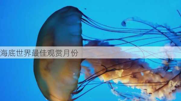 海底世界最佳观赏月份