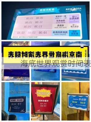 海底世界观赏时间表