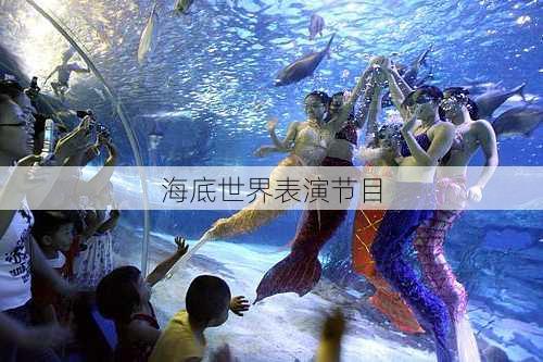 海底世界表演节目
