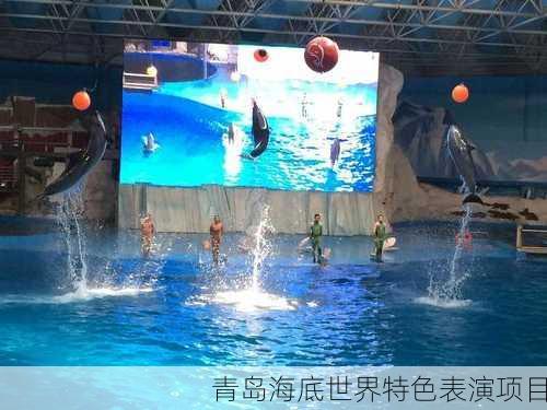 青岛海底世界特色表演项目