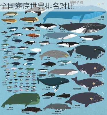 全国海底世界排名对比