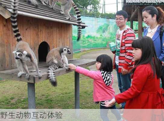 野生动物互动体验