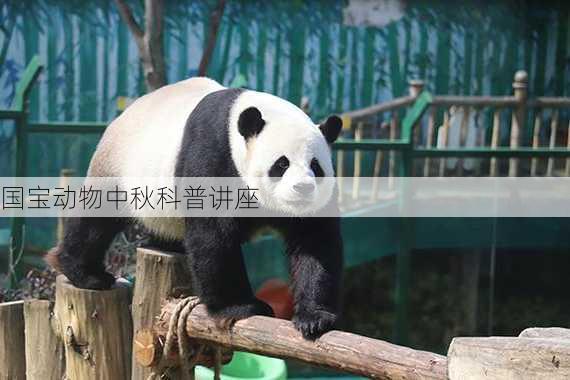 国宝动物中秋科普讲座