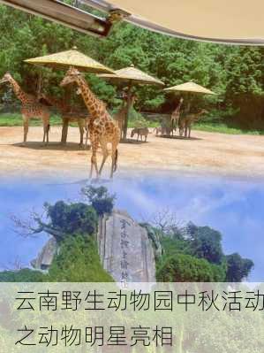 云南野生动物园中秋活动之动物明星亮相