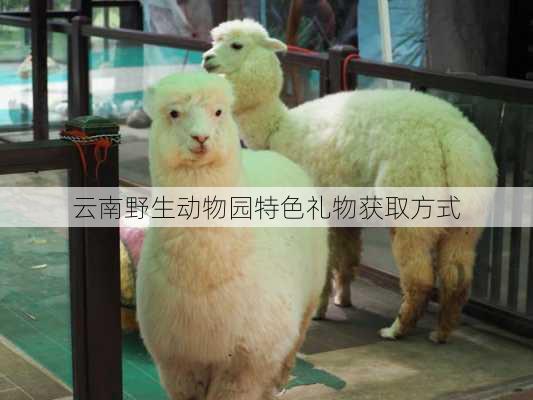 云南野生动物园特色礼物获取方式