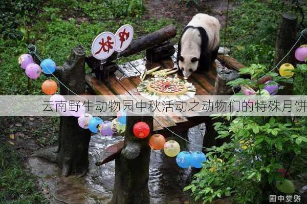 云南野生动物园中秋活动之动物们的特殊月饼