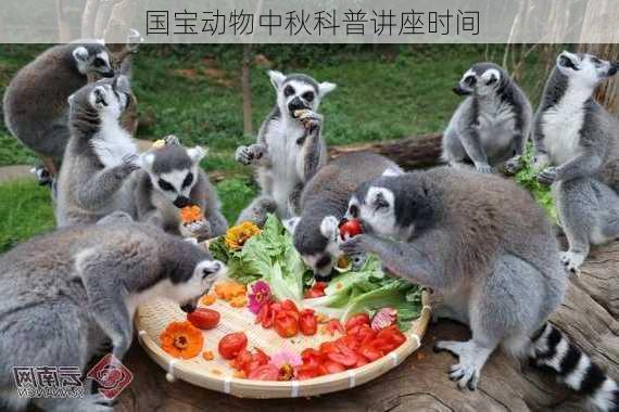 国宝动物中秋科普讲座时间