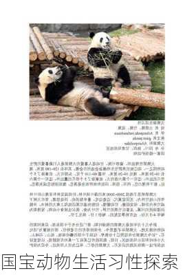 国宝动物生活习性探索