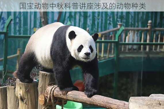 国宝动物中秋科普讲座涉及的动物种类