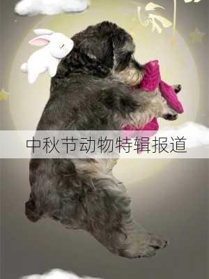 中秋节动物特辑报道