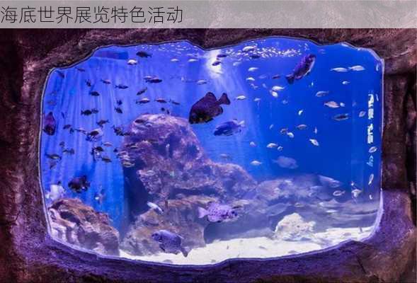 海底世界展览特色活动