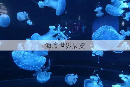 海底世界展览