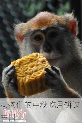 动物们的中秋吃月饼过生日