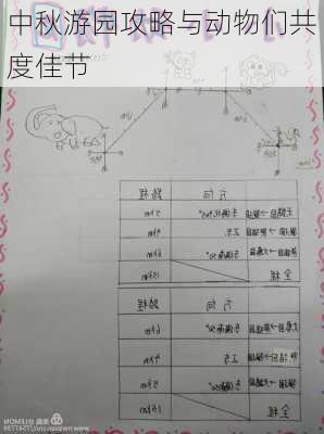 中秋游园攻略与动物们共度佳节