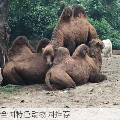 全国特色动物园推荐