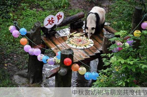中秋赏动物与萌宠共度佳节