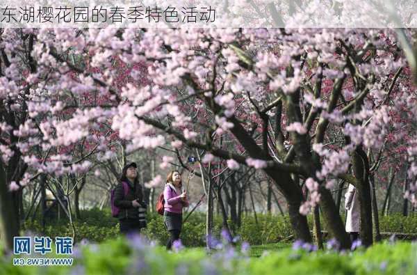 东湖樱花园的春季特色活动