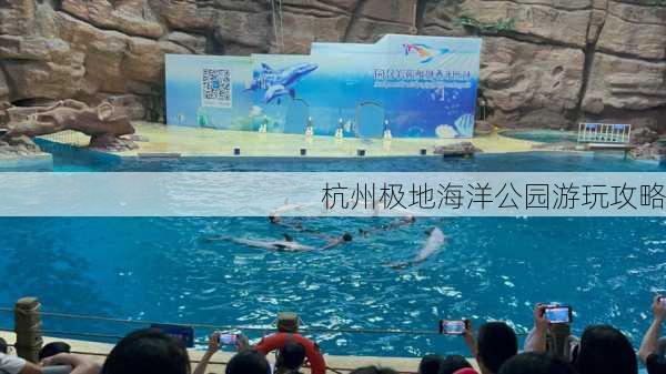 杭州极地海洋公园游玩攻略