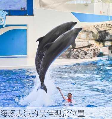 海豚表演的最佳观赏位置