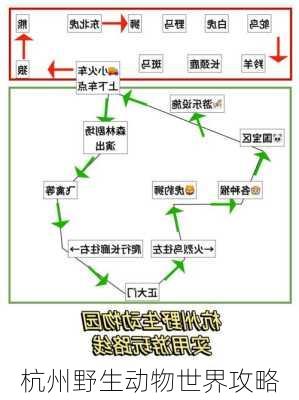 杭州野生动物世界攻略