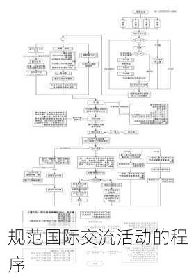 规范国际交流活动的程序