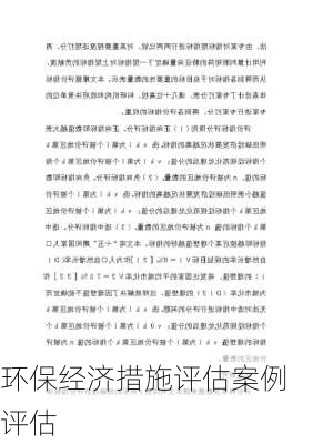 环保经济措施评估案例评估
