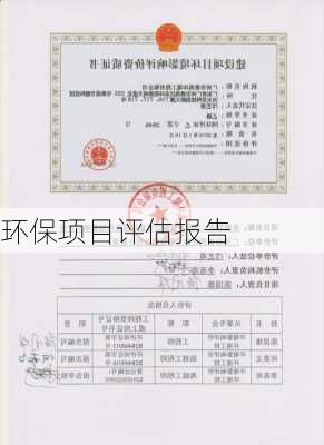 环保项目评估报告
