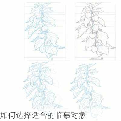 如何选择适合的临摹对象