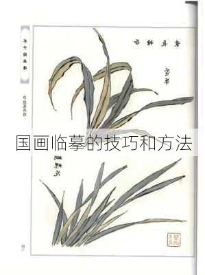 国画临摹的技巧和方法