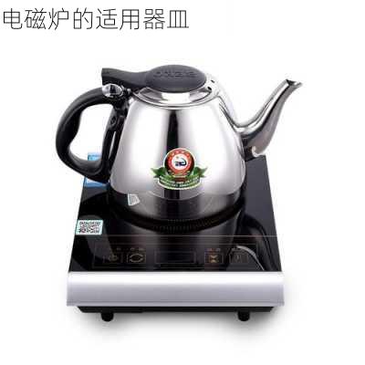电磁炉的适用器皿