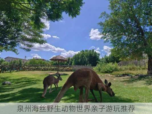 泉州海丝野生动物世界亲子游玩推荐