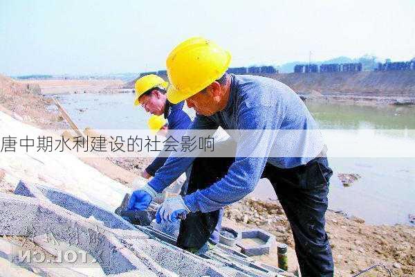 唐中期水利建设的社会影响