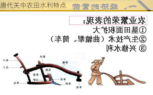 唐代关中农田水利特点