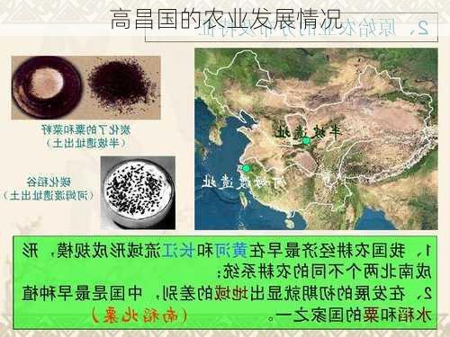高昌国的农业发展情况