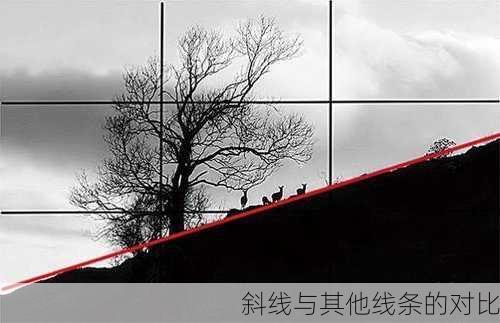 斜线与其他线条的对比