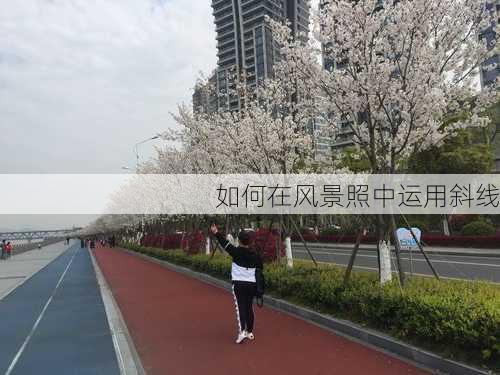 如何在风景照中运用斜线