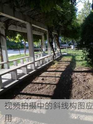 视频拍摄中的斜线构图应用