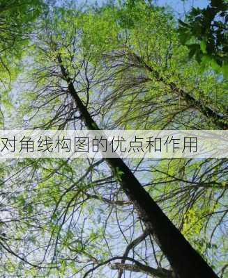 对角线构图的优点和作用