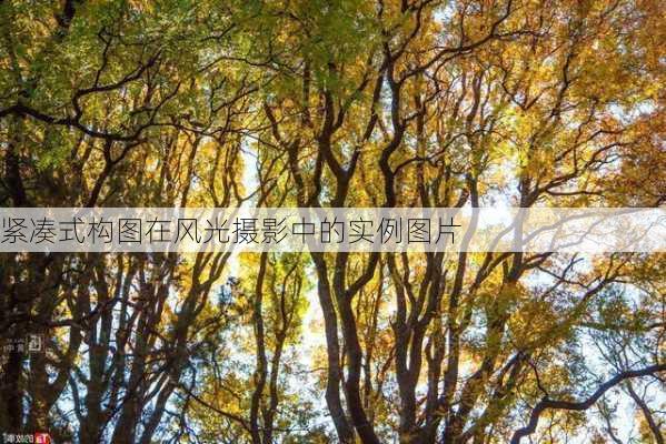 紧凑式构图在风光摄影中的实例图片