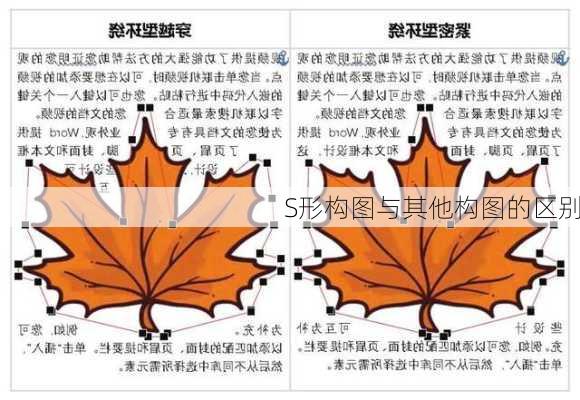 S形构图与其他构图的区别